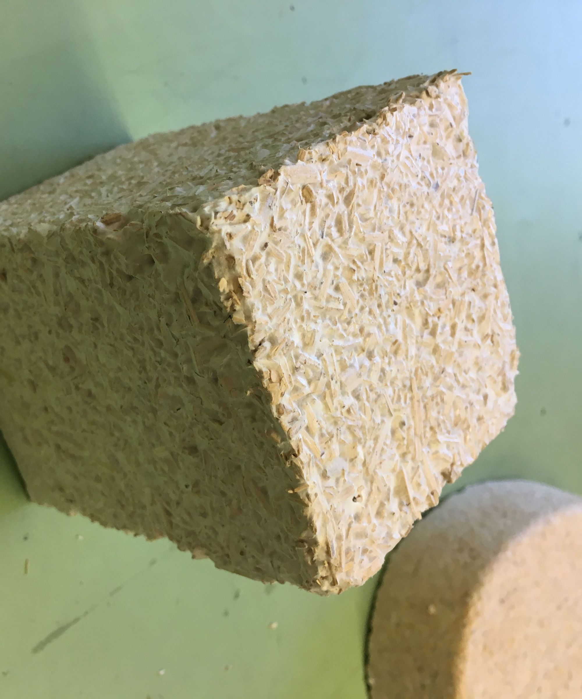 Mycelium Molds
