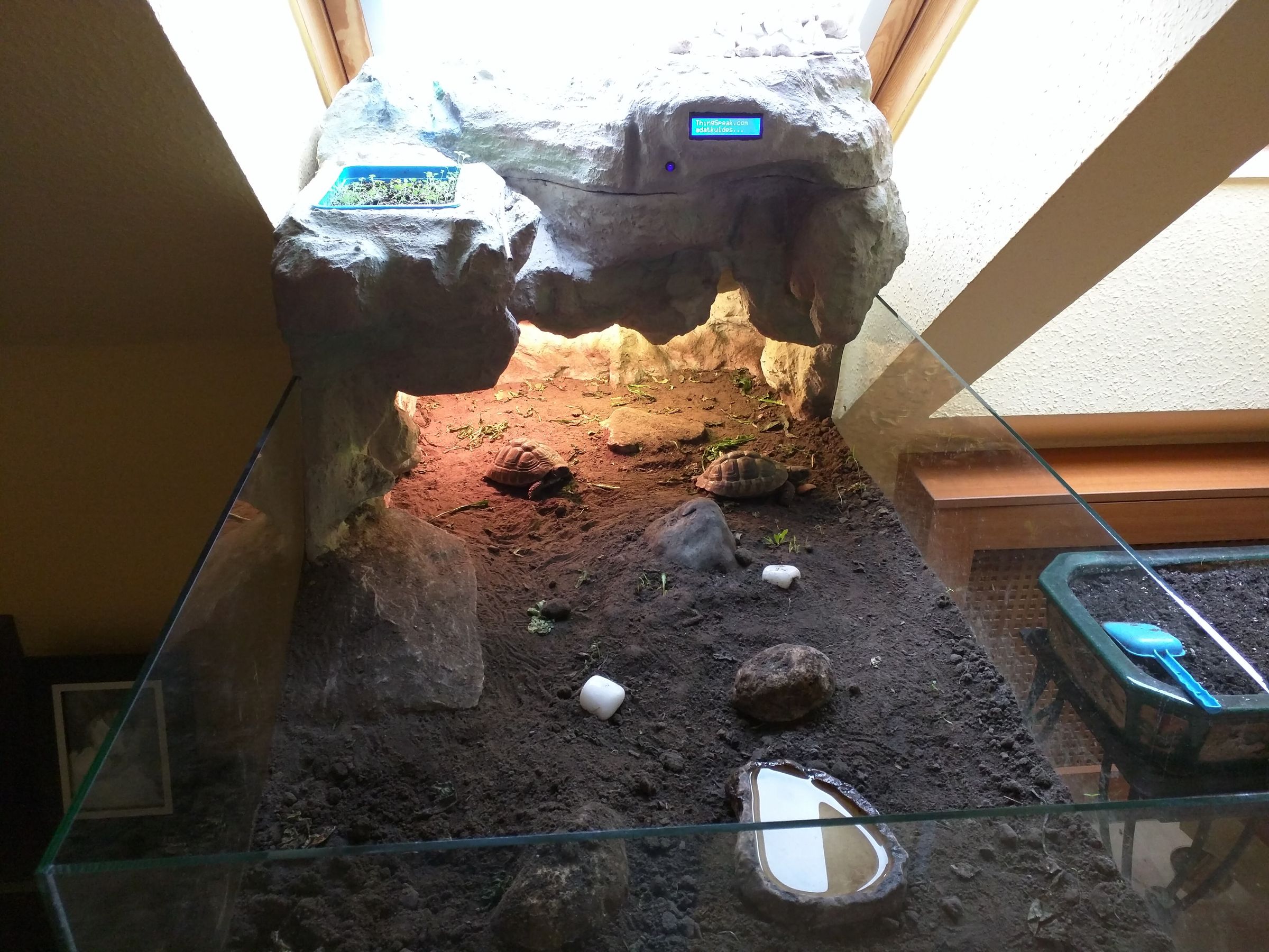Smart Terrarium 8 Steps (with Pictures) Instructables