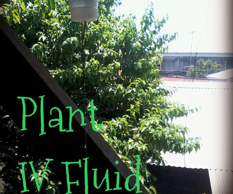Plant IV Fluid