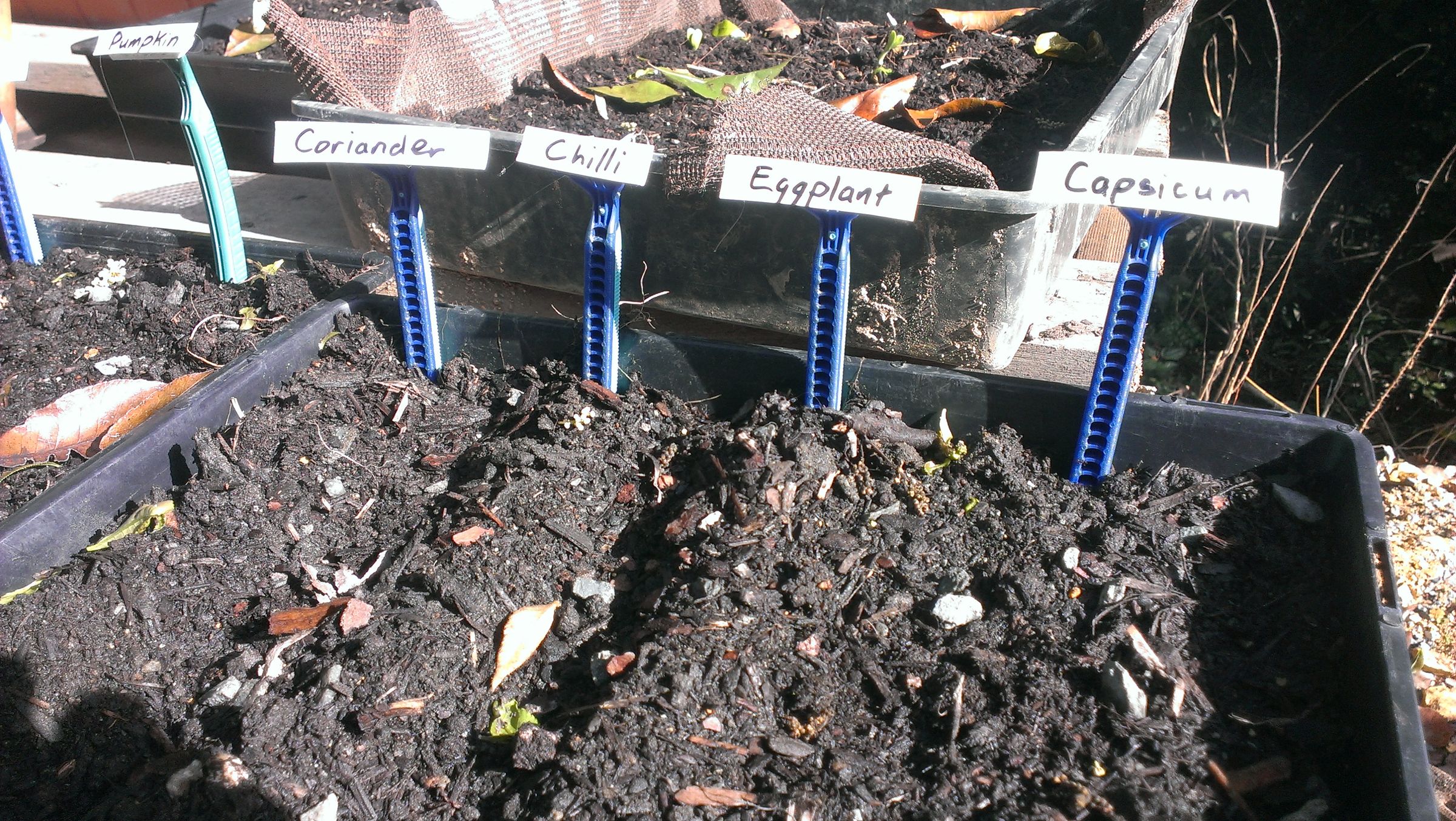 Plant Labels From Disposable Razors : 4 Steps - Instructables