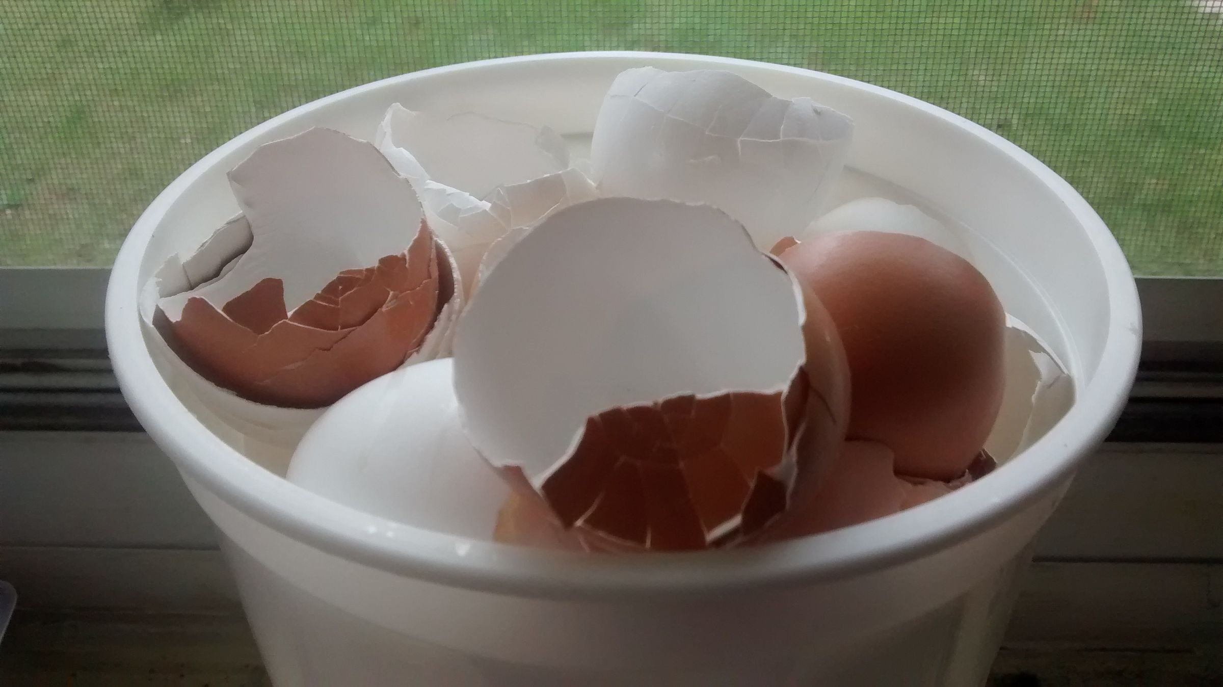 urea-Make Your Own Organic Plant Fertilizer for FREE