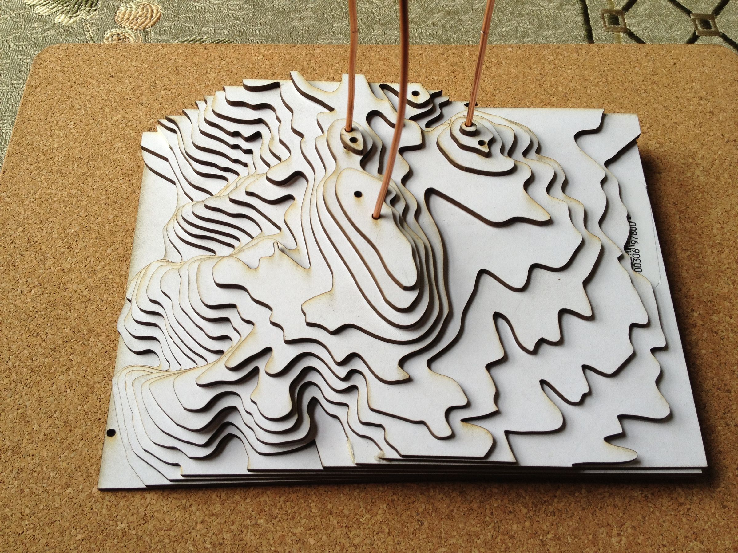 Making a Relief Model of Edgewood Park