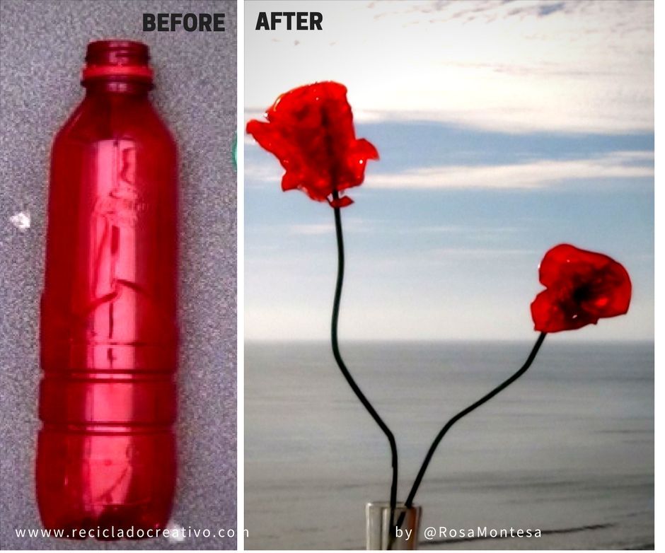 Flowers Out of Recycled Plastic Bottles. Before and After