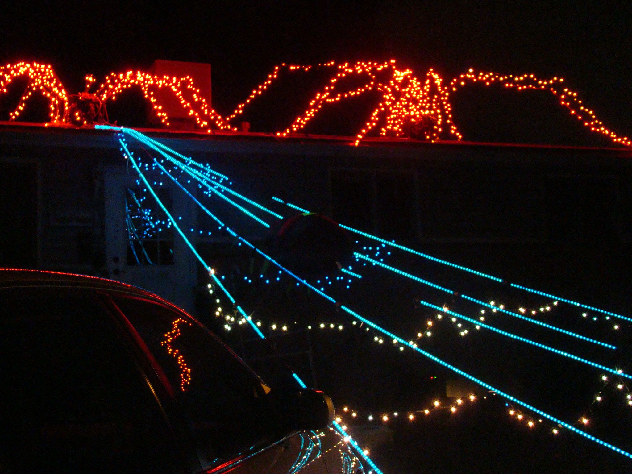 Giant Roof Top Spiders