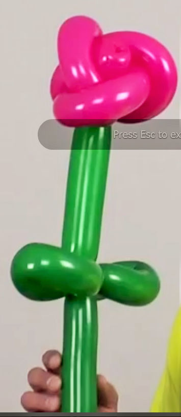 How to make a 2 balloon rose