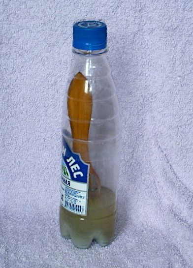 Plastic Bottle to Keep a Wet Paint Brush