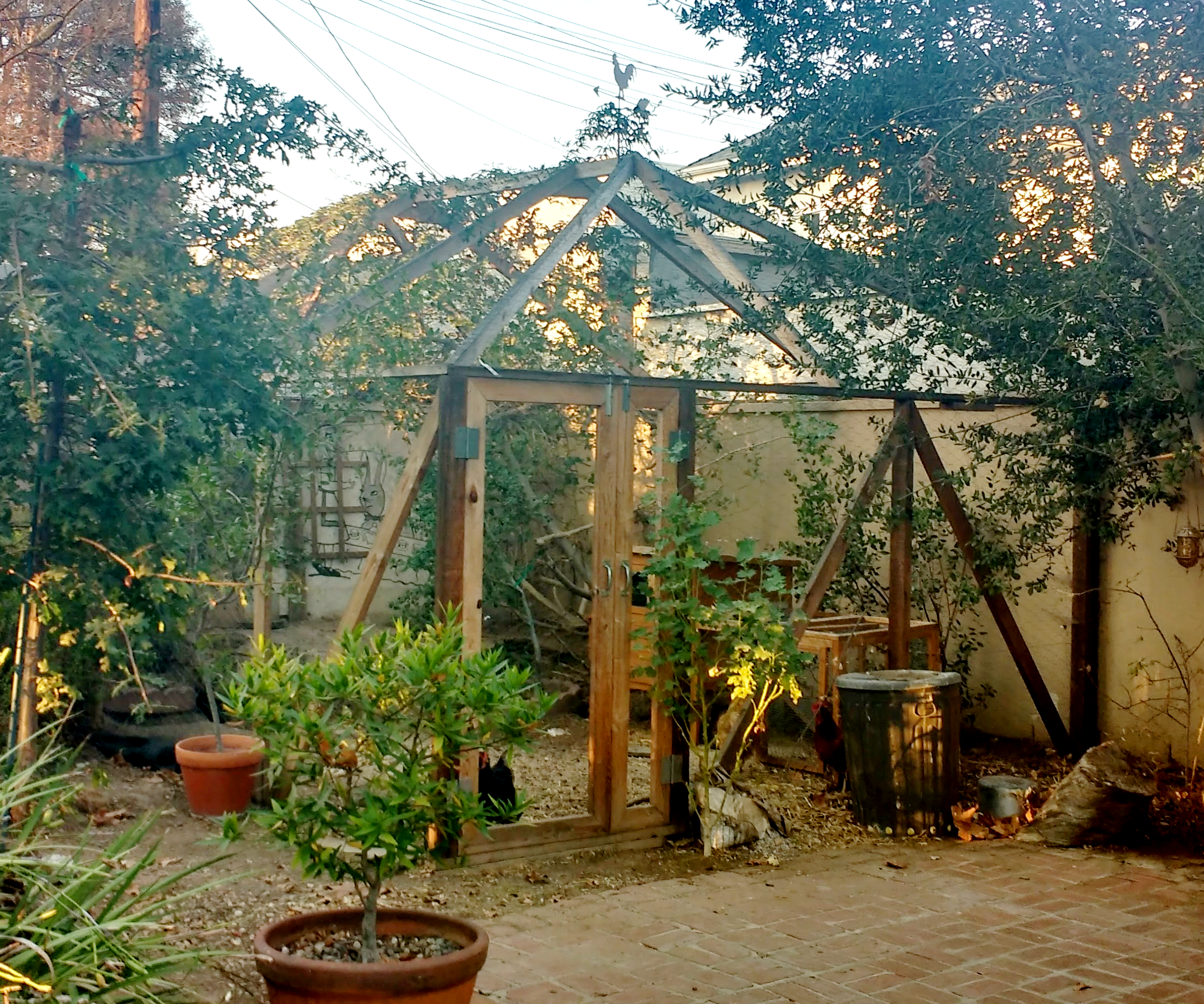 Walk-in Open Air Chicken Coop
