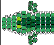 Pony Bead Crocodile.