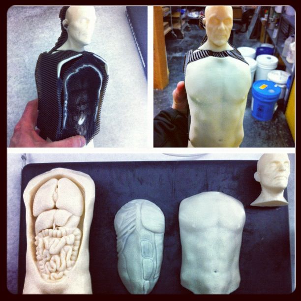 Anatomy observation model