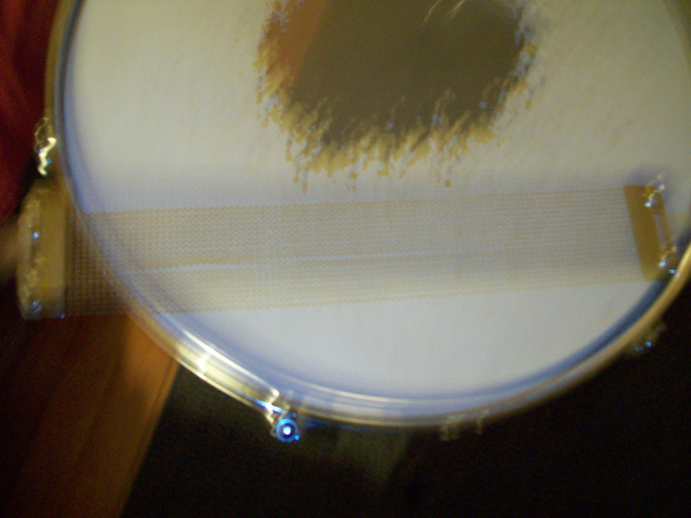 How to Make a Timbale Out of a Snare Drum 4 Steps Instructables