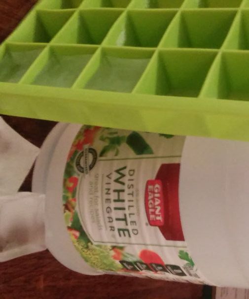 Garbage Disposal Cleaner