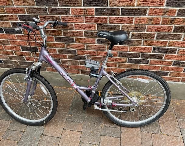 BICYCLE ELECTRIC AUXILIARY POWER UNIT