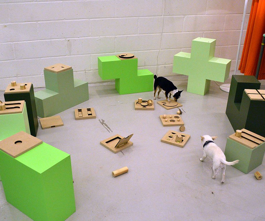 A Hybrid Digital and Physical Game for Dogs and Humans 5 Steps