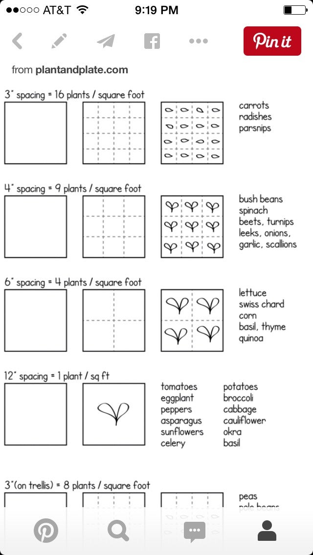 Sketch Plan Each Plot(example)