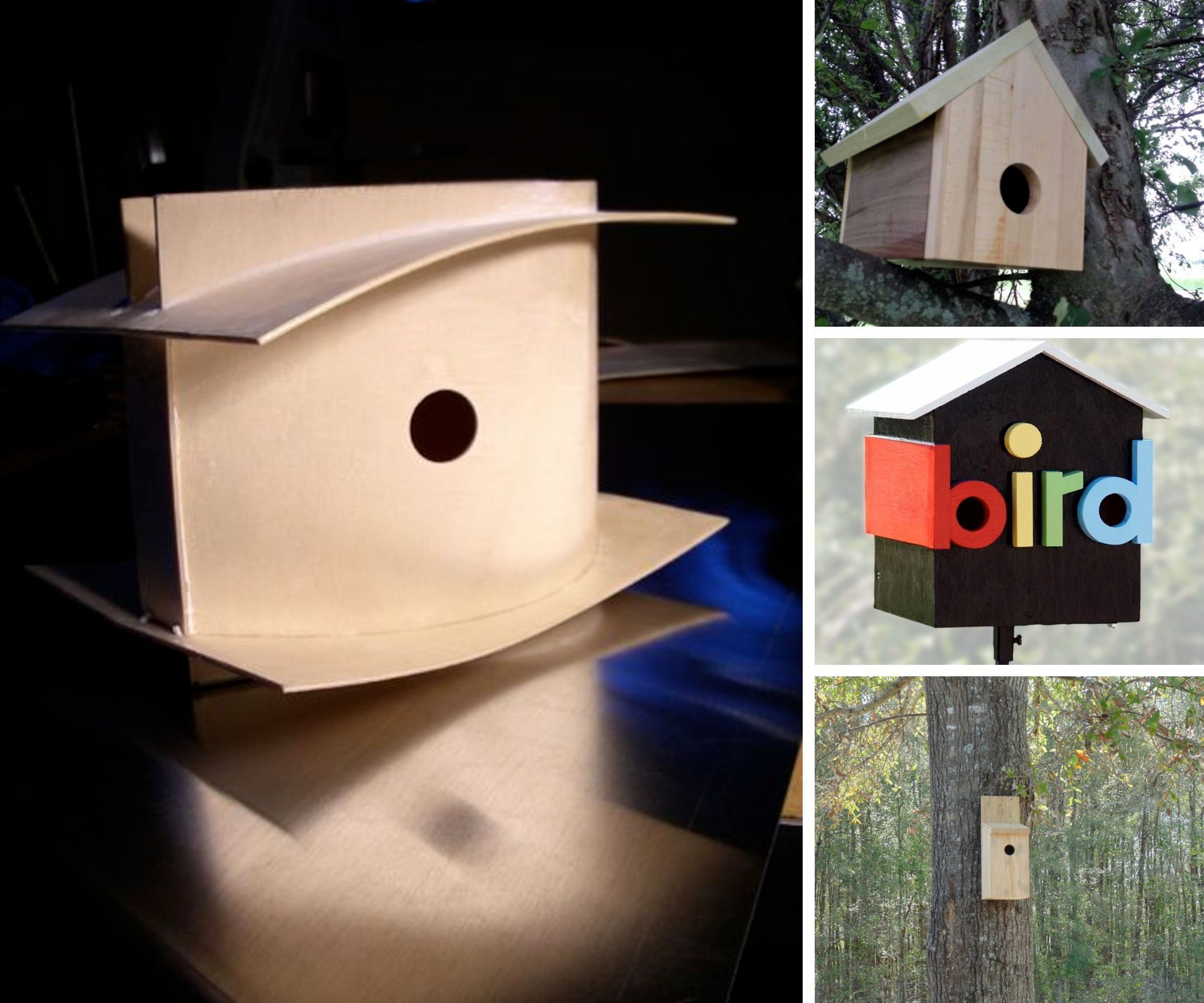 Entry Level Projects