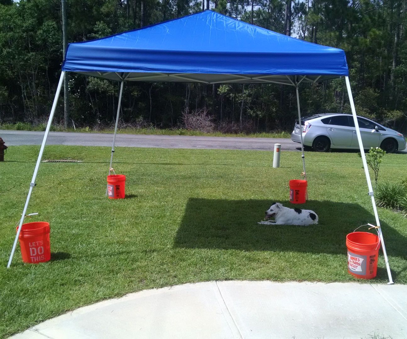Quick and easy EasyUp portable tent anchoring
