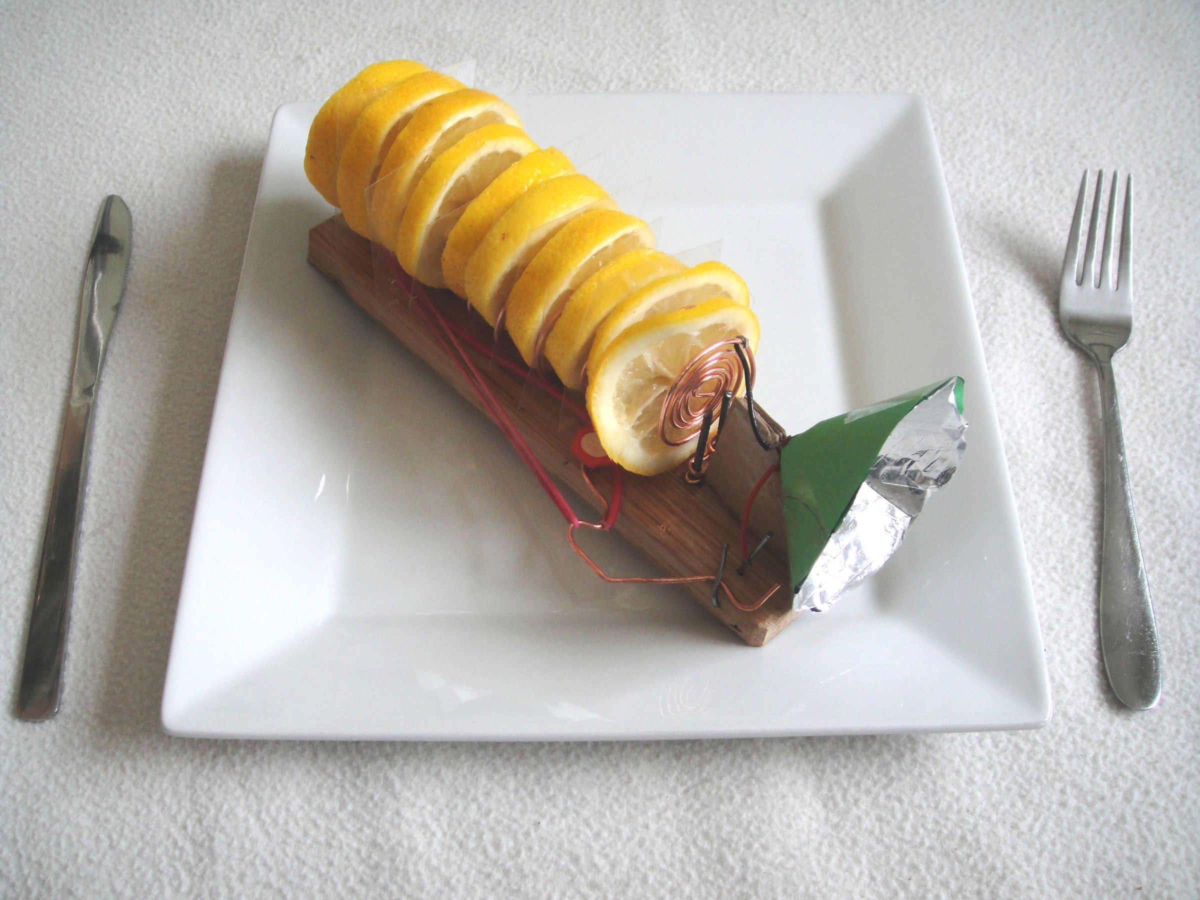 Lemon Flashlight, My Electro-culinary Dish!