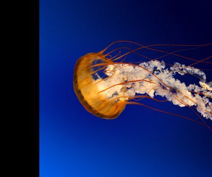 Pi Slideshow Display