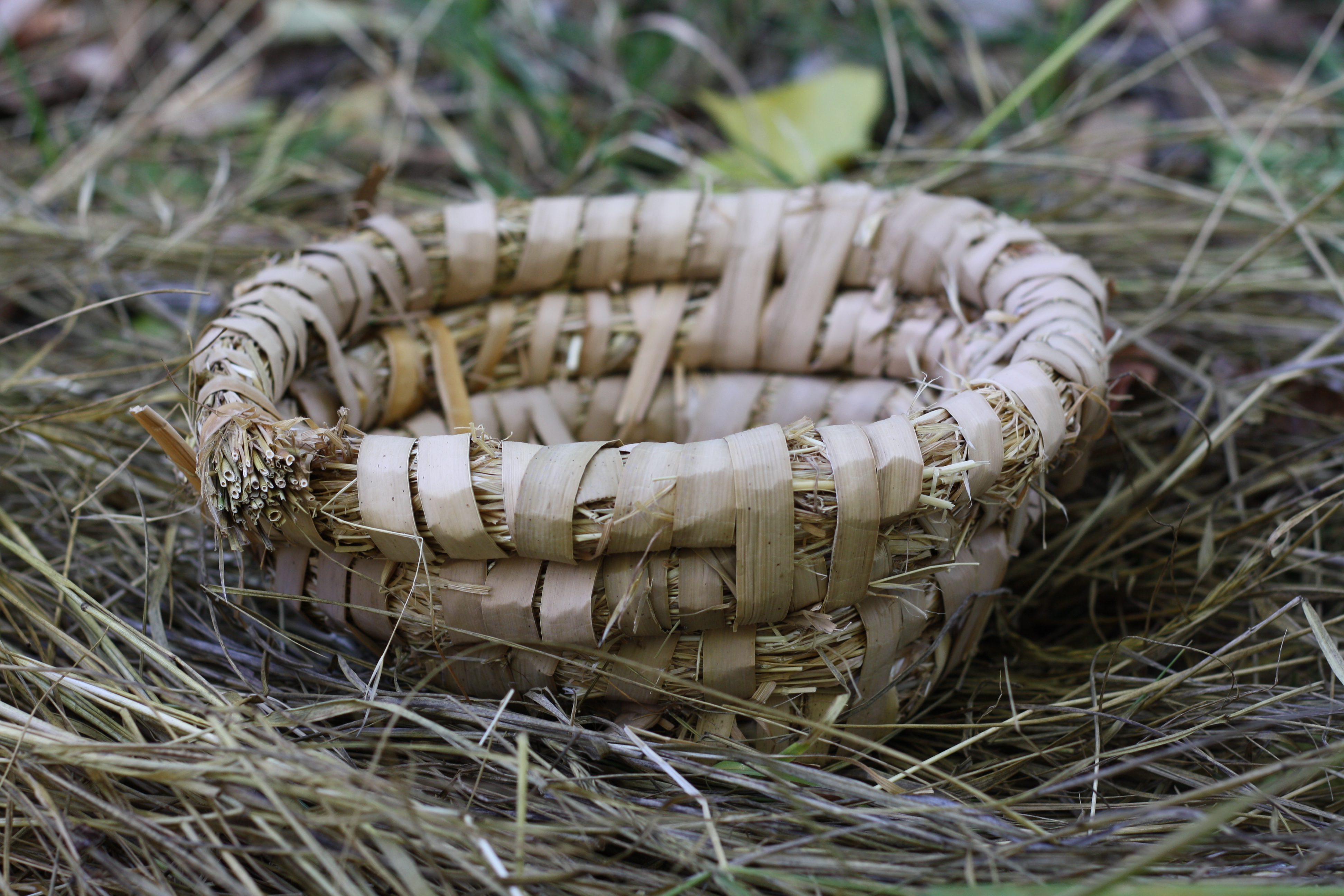 洋書 BASKETRY projects from Baskets to Grass BASKETRY projects from Baskets to Grass
