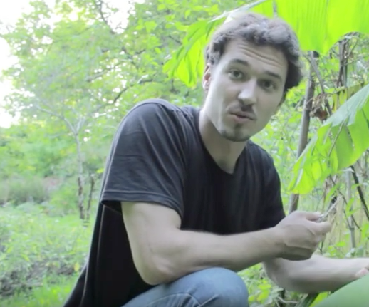 SIMPLE BANANA LEAF MOLD