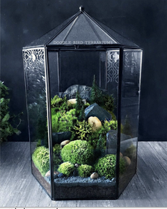 Reference for Terrarium