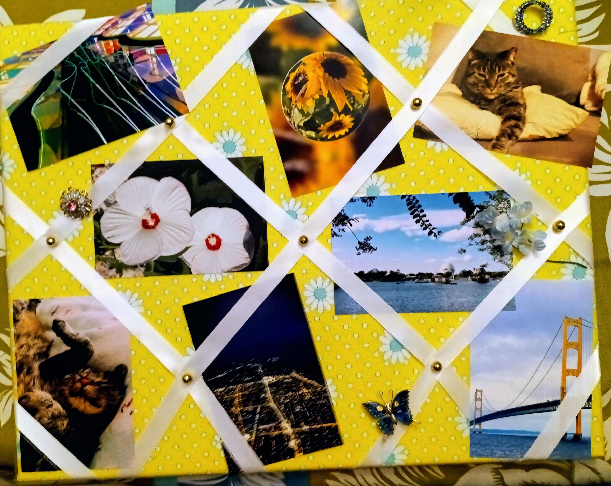 French Photo Board 9 Steps (with Pictures) Instructables