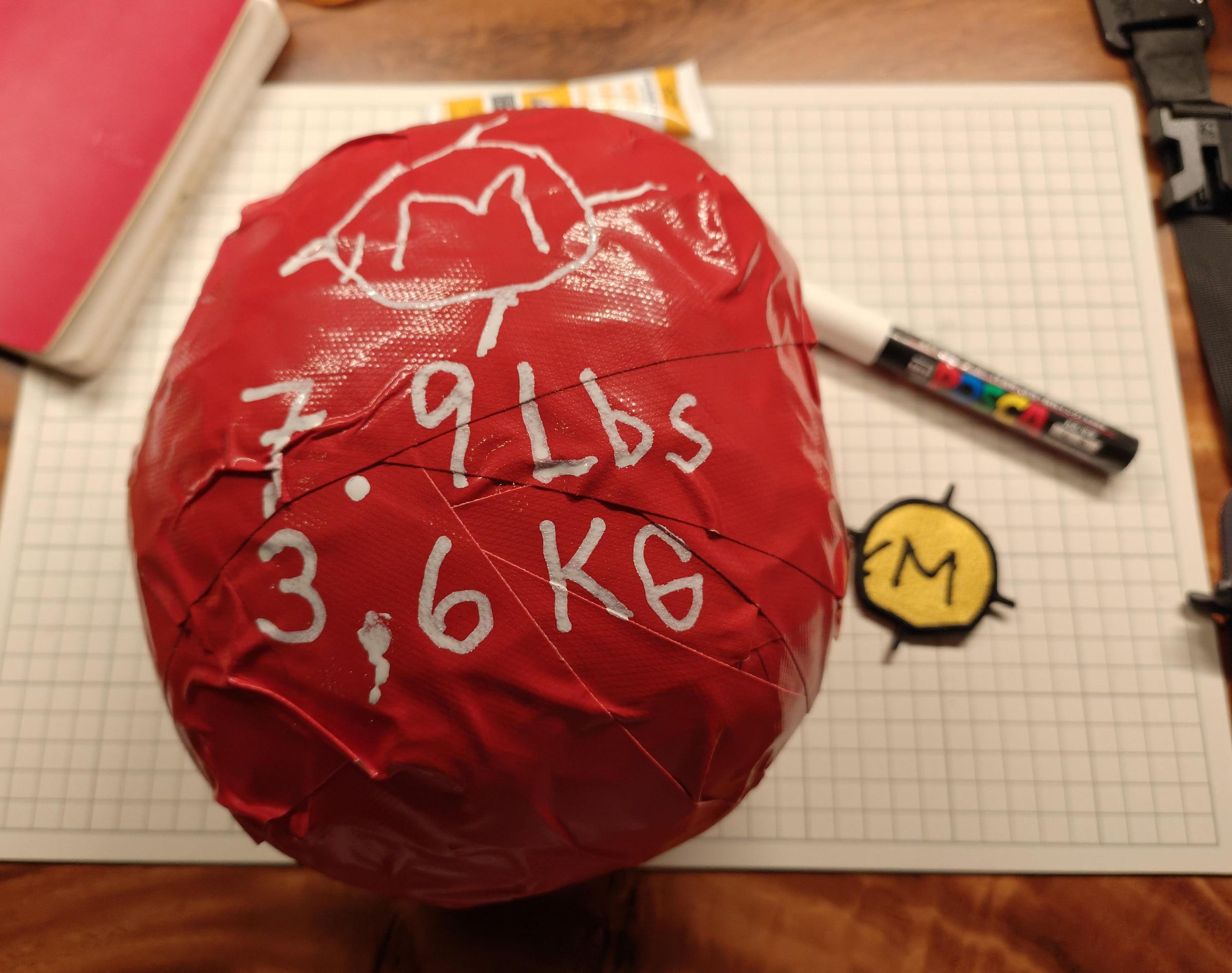 I.s.r.u Medicine Ball S/N:2025.063.35009 FRANK DUX