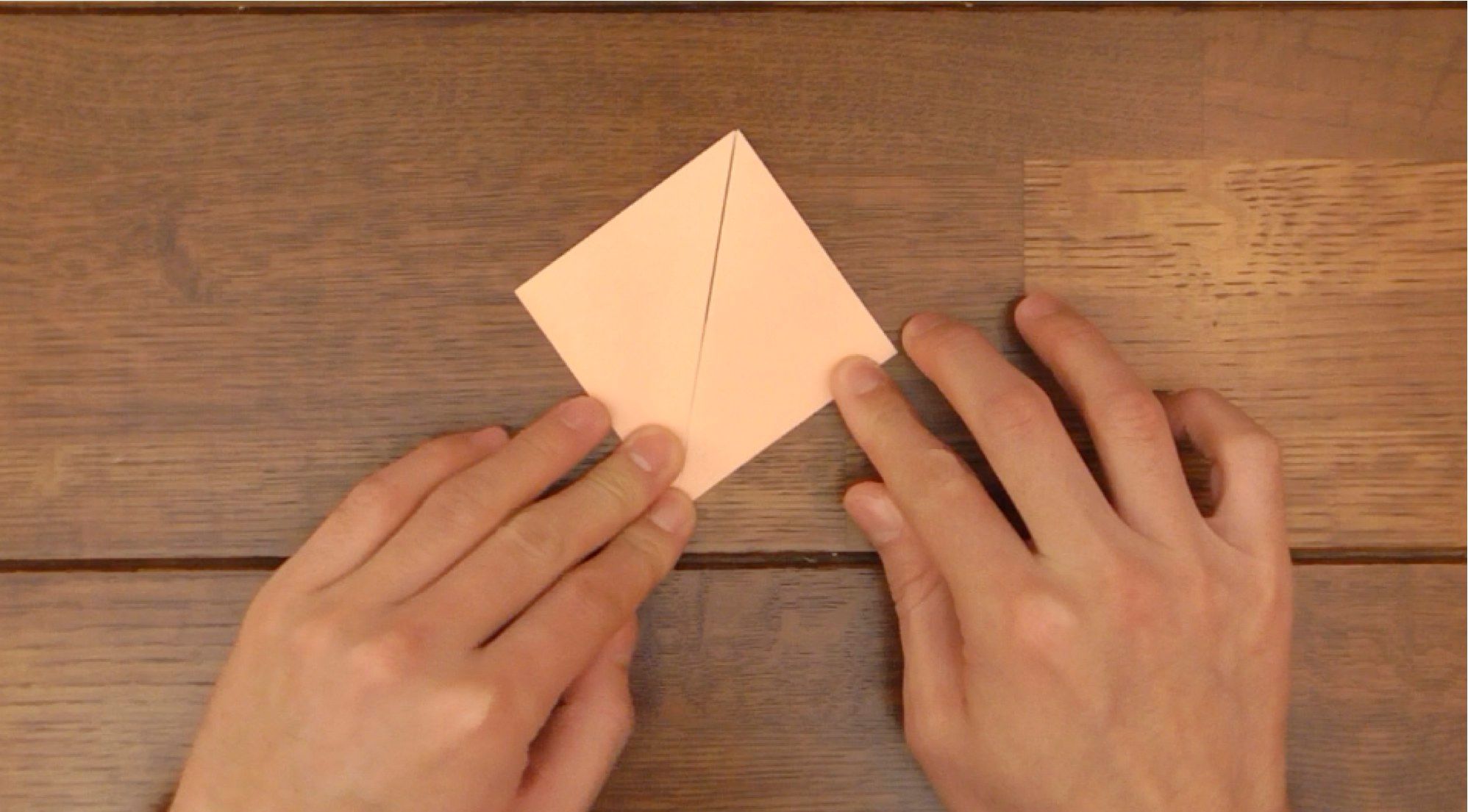 How to Make Head Nod in Dogs! 15 Steps (with Pictures) Instructables