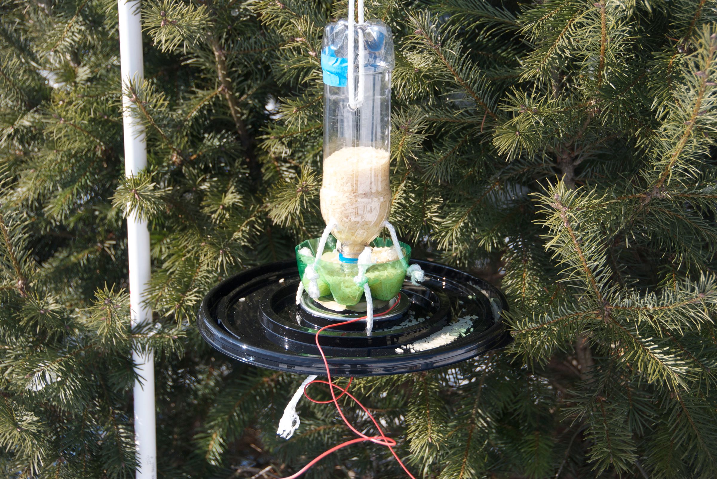 Beeping Plastic Bottle Bird Feeder