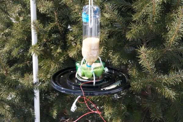 Beeping Plastic Bottle Bird Feeder