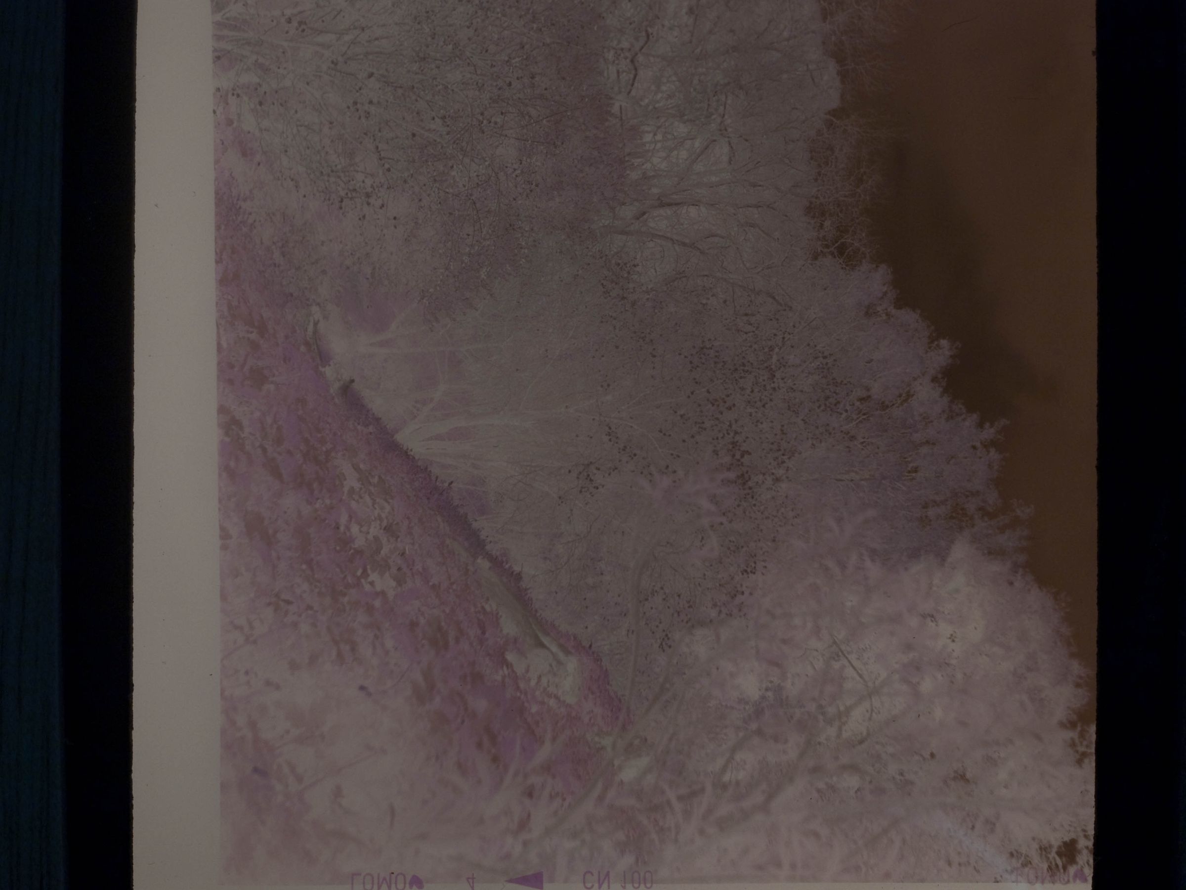 How to Digitize Slides and Film Negatives With a DSLR 12 Steps (with