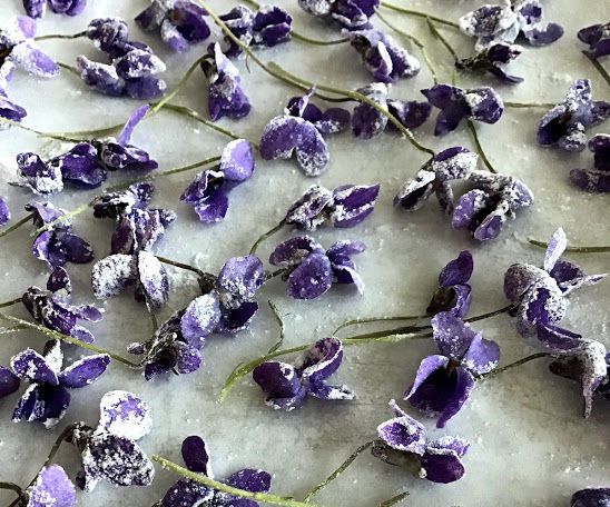 Candied Violets