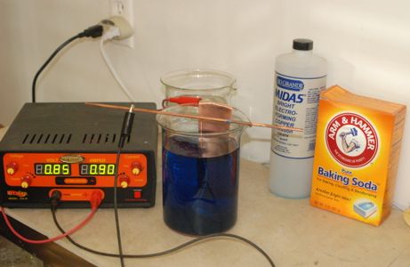 Electroforming an Iris Seed Pod