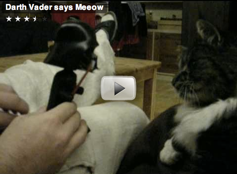 Toy Mashup: Darth Vader Says Meow!