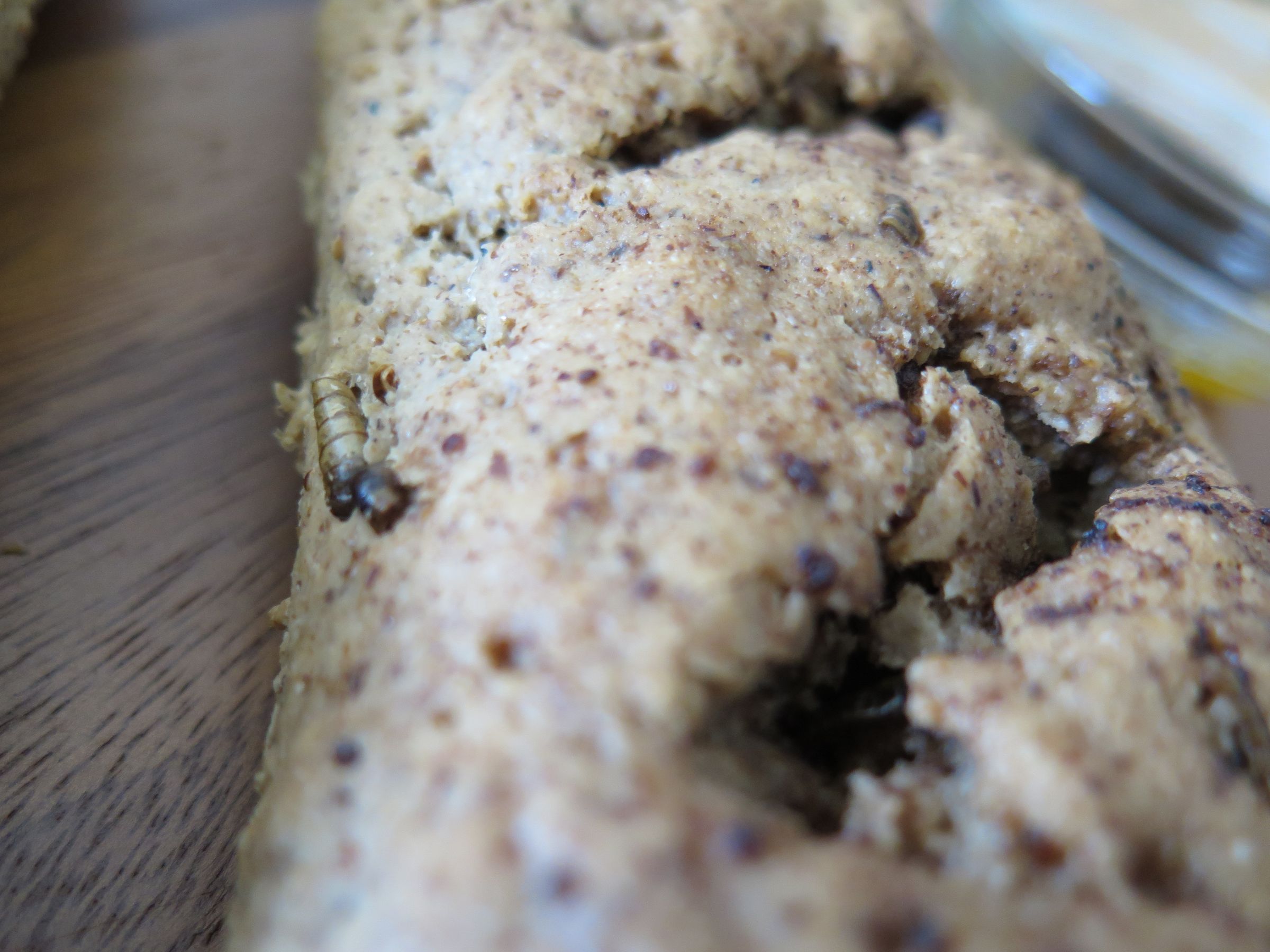 Mealworm French Bread.. Gluten Free 12 Steps (with Pictures
