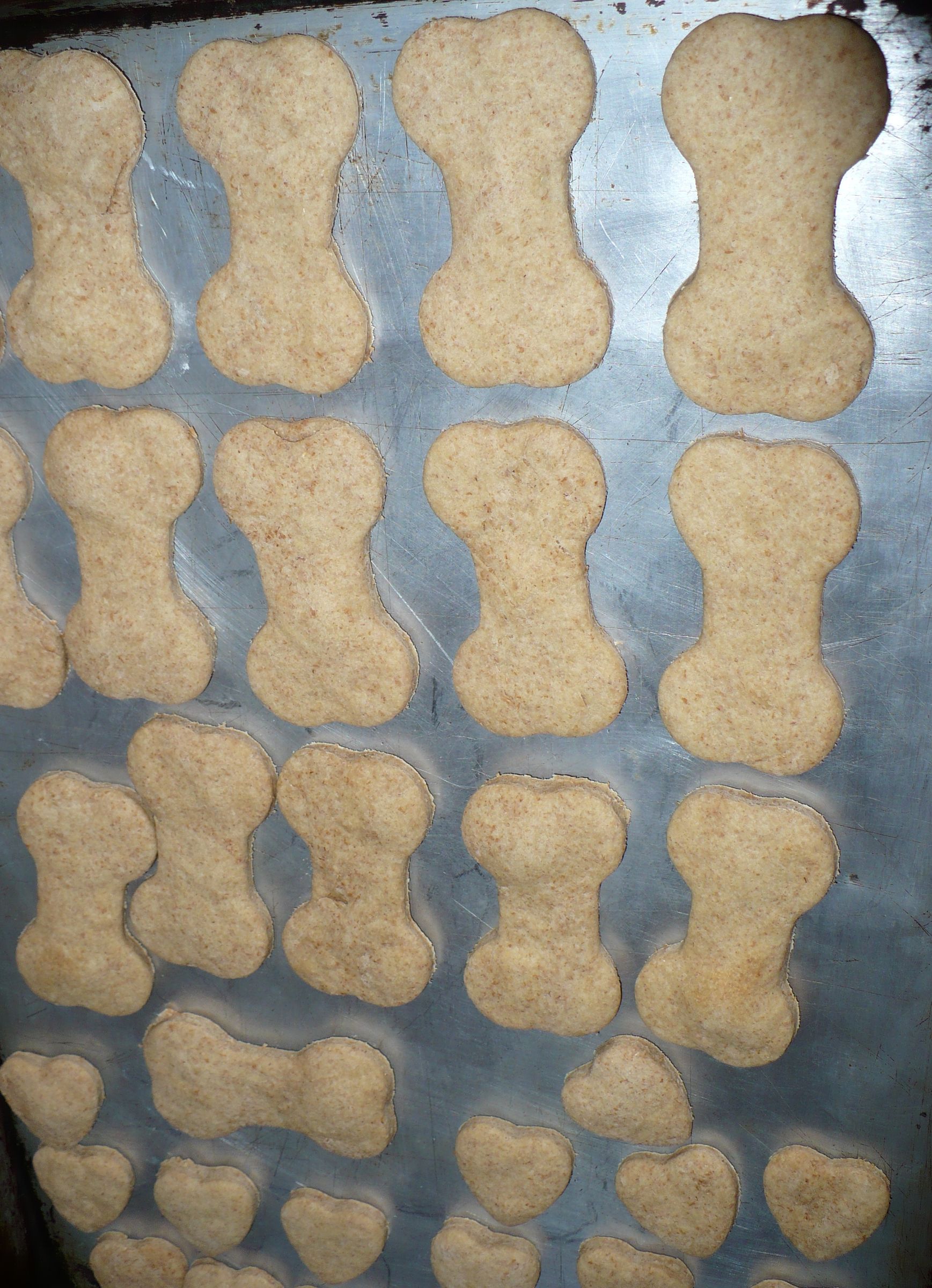 How to Make Healthy and Delicious Peanut Butter Cookies for Dogs 5