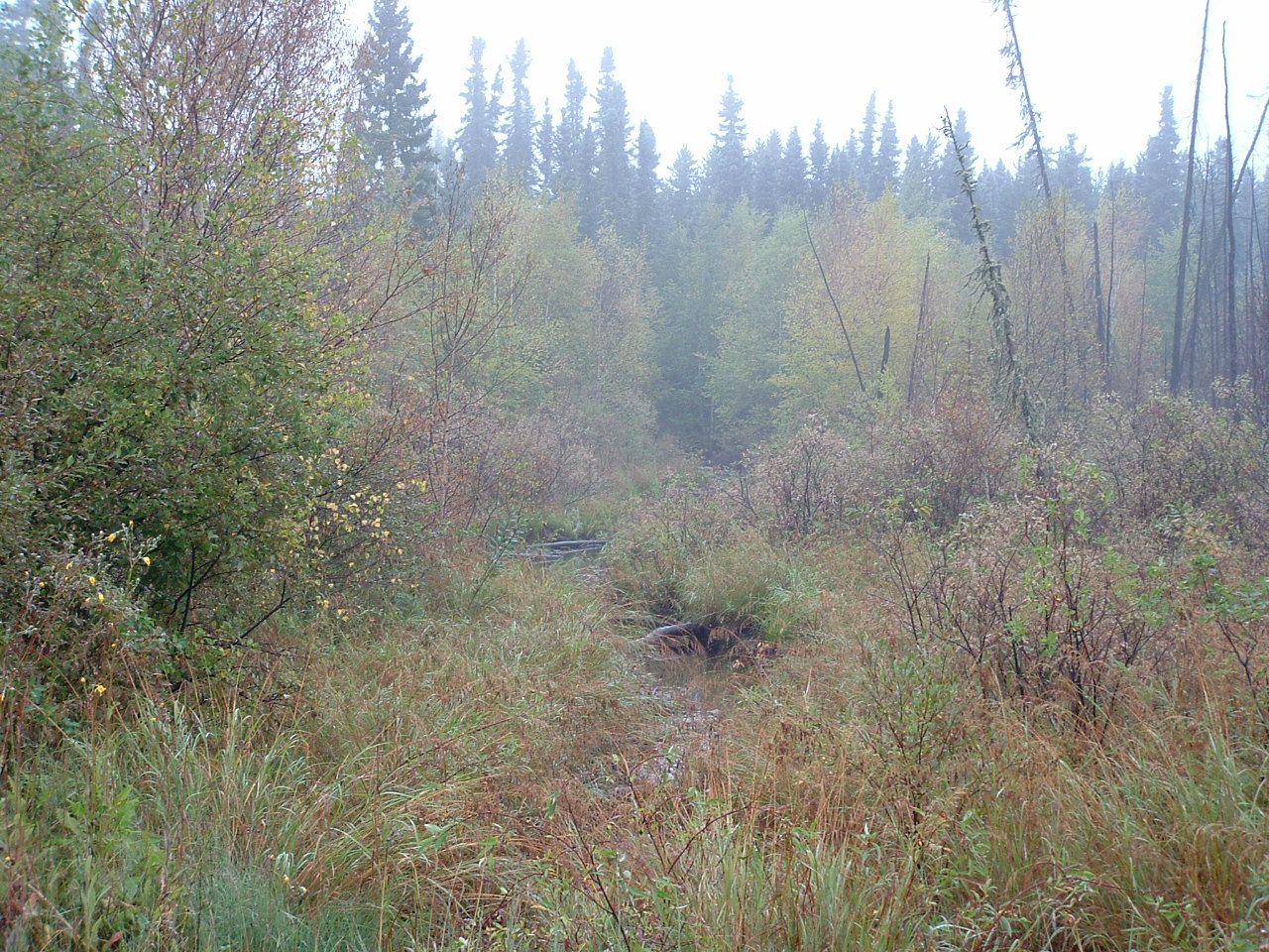 Transferring Individual Photos From Your Camera