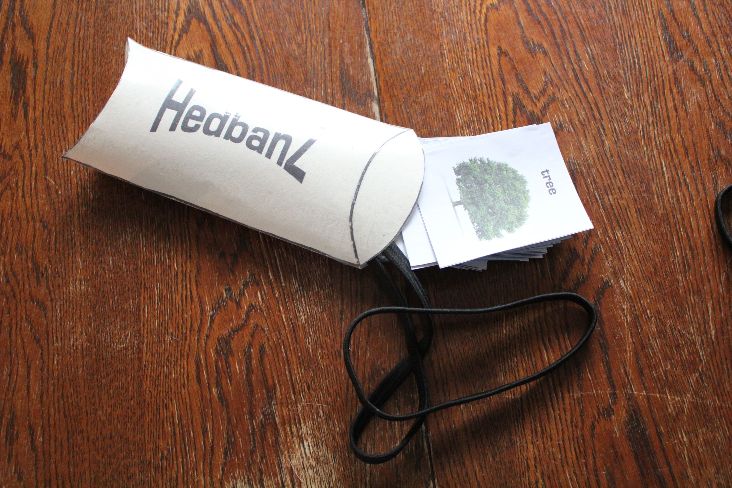 Homemade "Hedbanz" Game