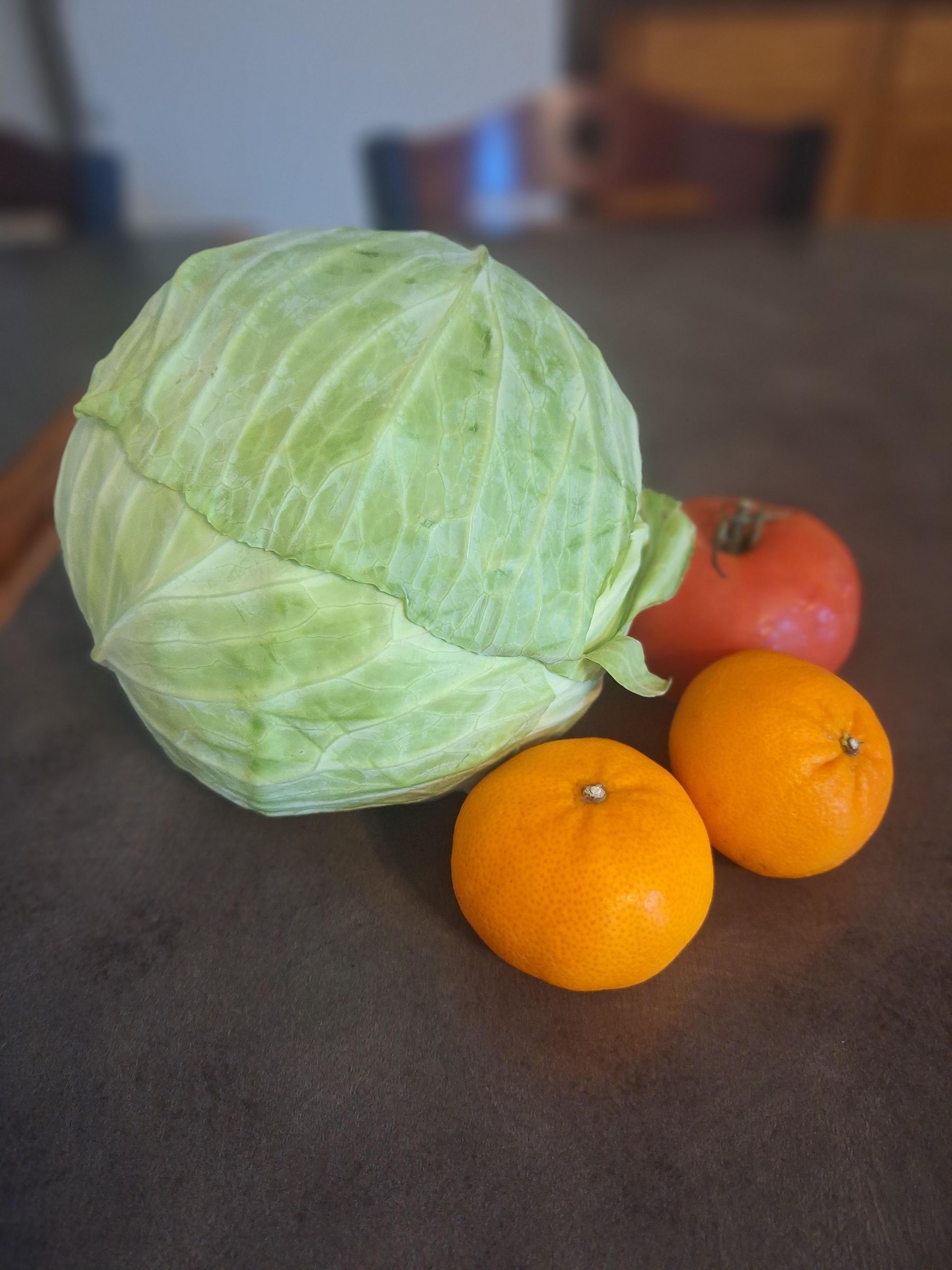 Still Life Sketching