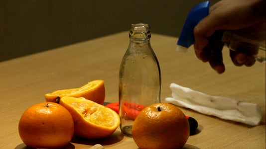 tree with orange seed pods