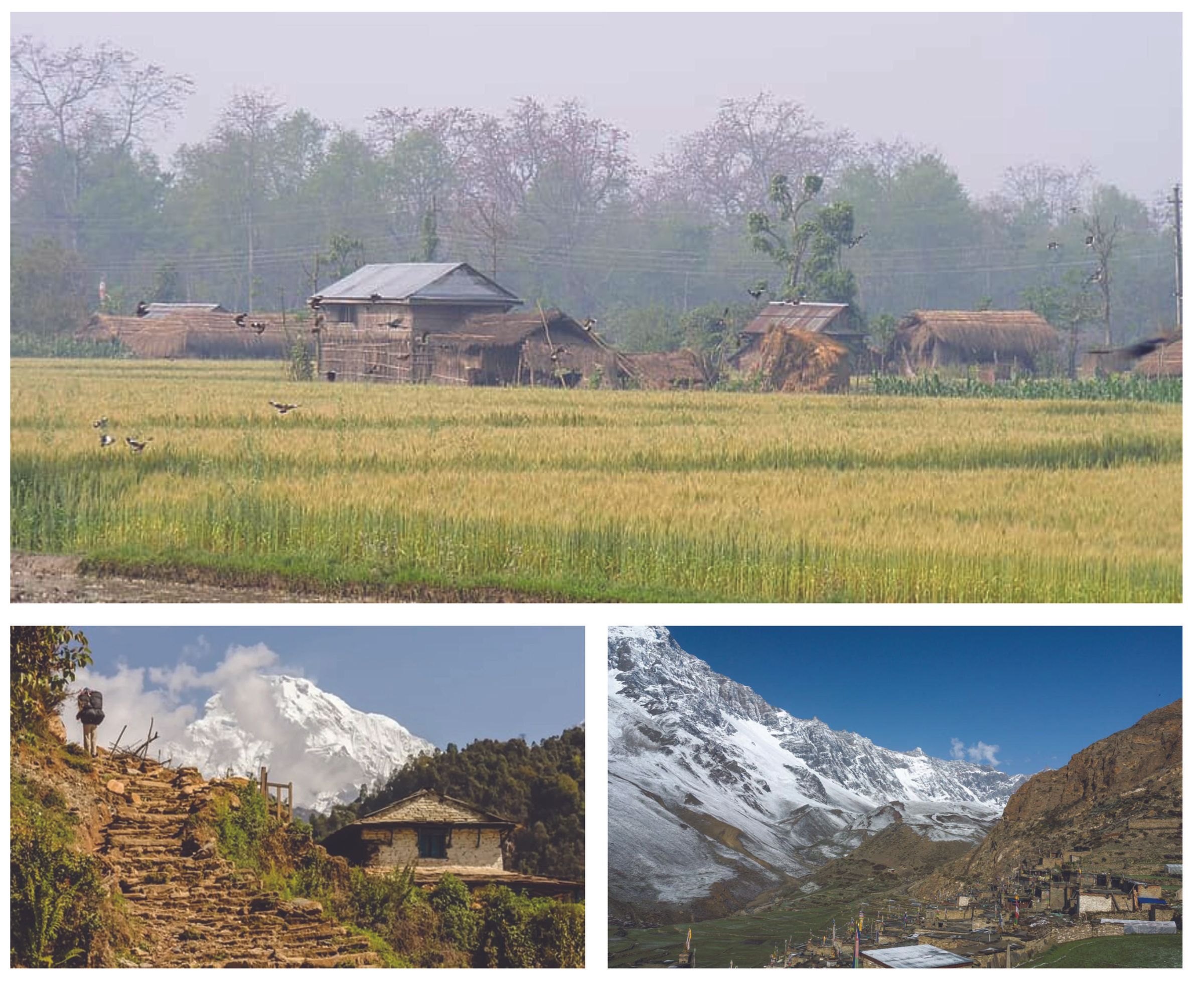 Lantern House: an Unfolding Emergency Shelter for Nepal
