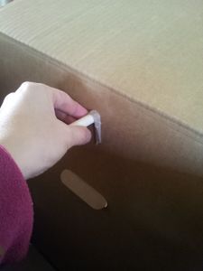 Step 4: Secure the Poles