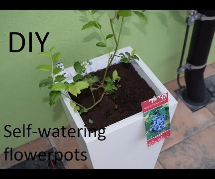 Self-watering Flower Pots