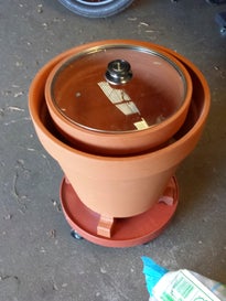 Fill the Gap With Sand, Add Water, and Top With Decorative Rocks