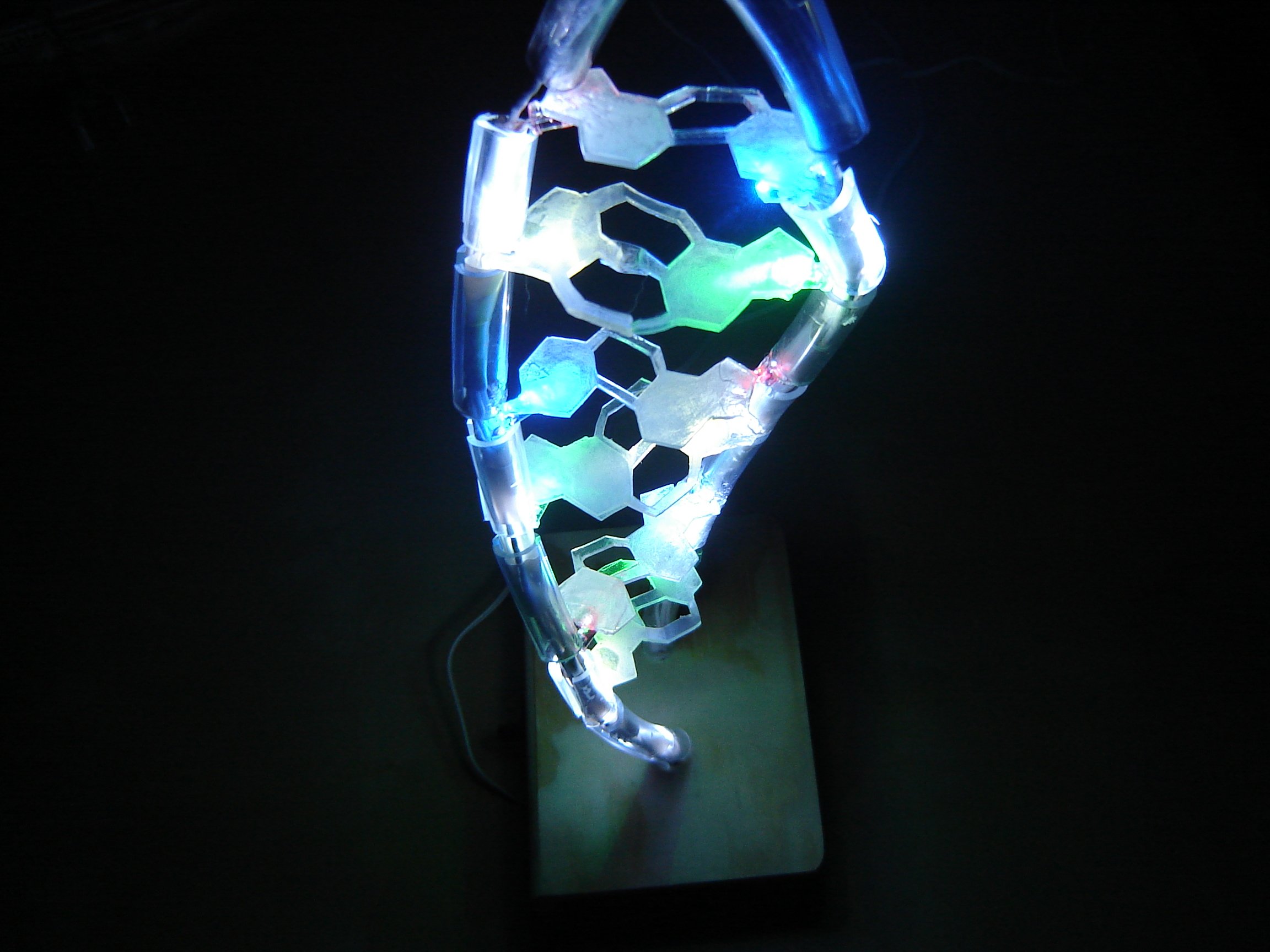 The Double Helix -a DNA Model With Lights