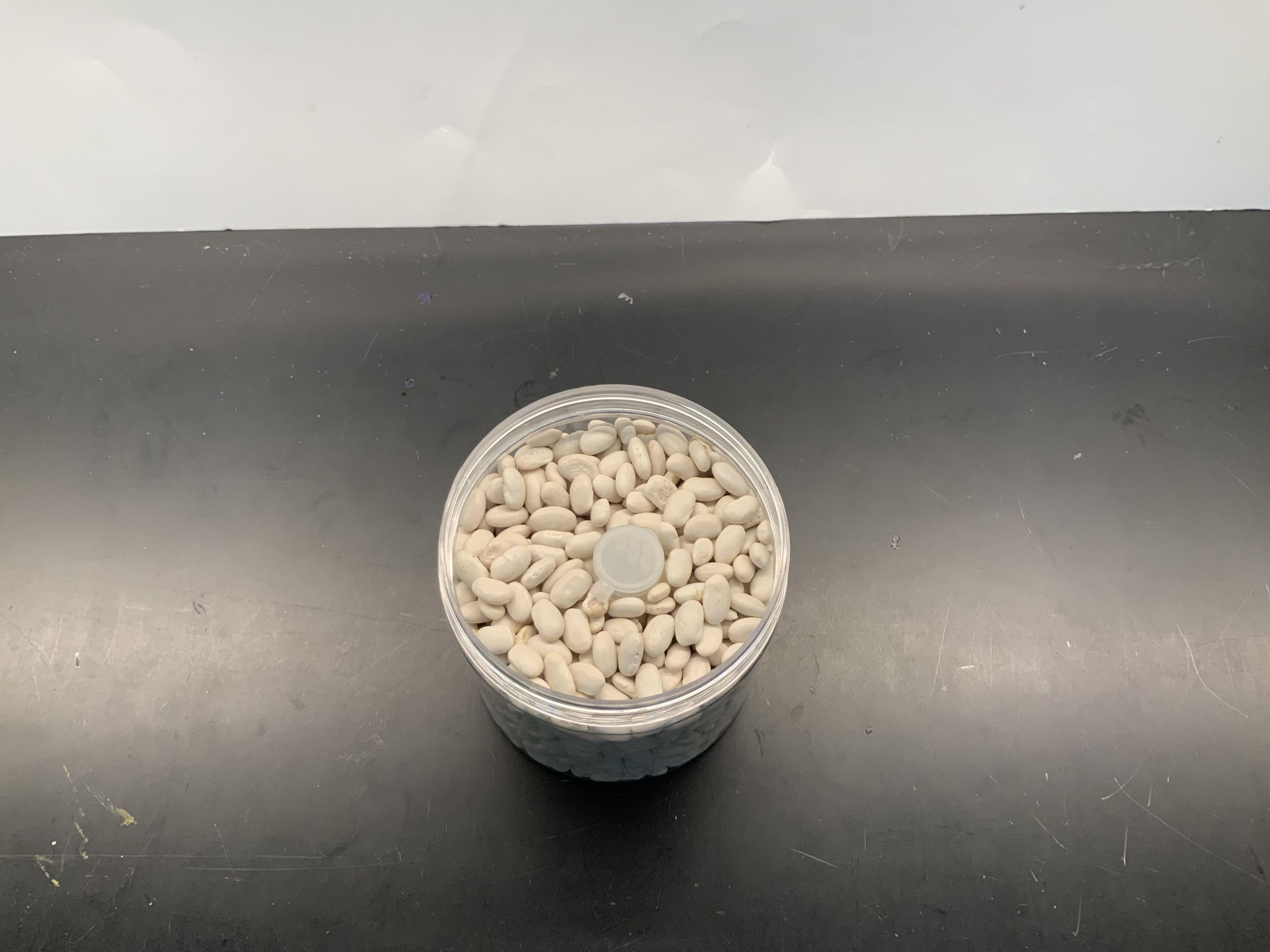 Hidden Bean Safe! 3 Steps Instructables