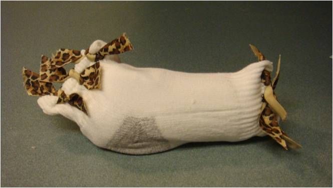 Cute and Simple Sock Toy for Dogs