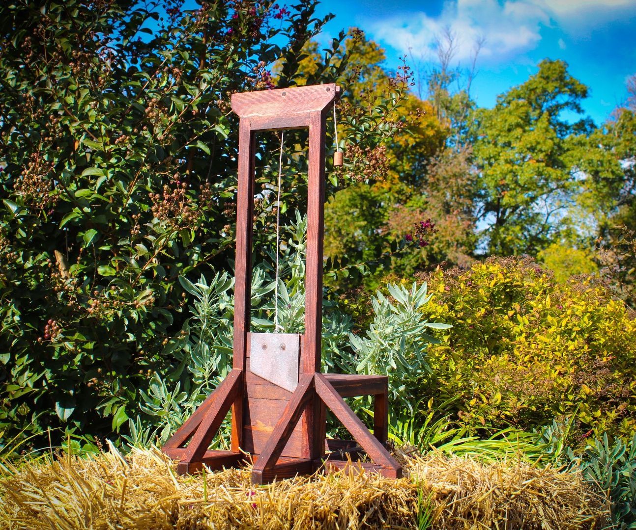 Mini Guillotine