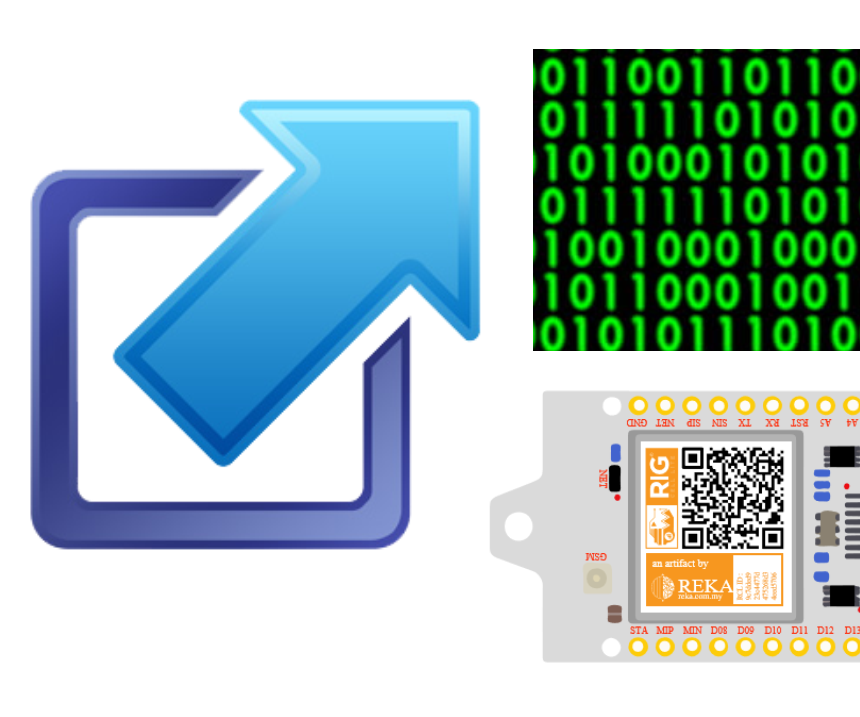 RIG CELL LITE INTRO: Digital I/O