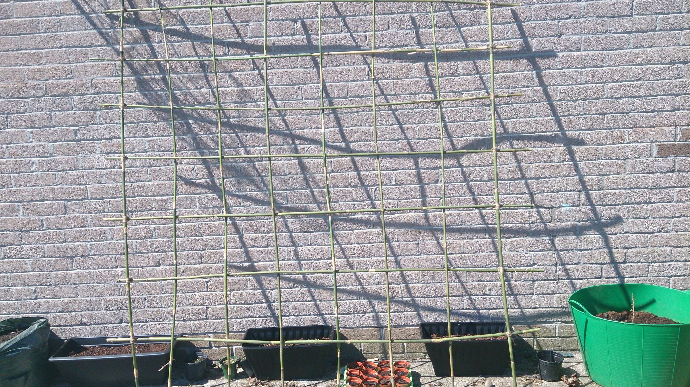 Quirky and Easy Bamboo Trellis 